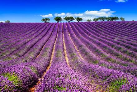 Domaine de Valmouriane à Saint-Remy-de-Provence 